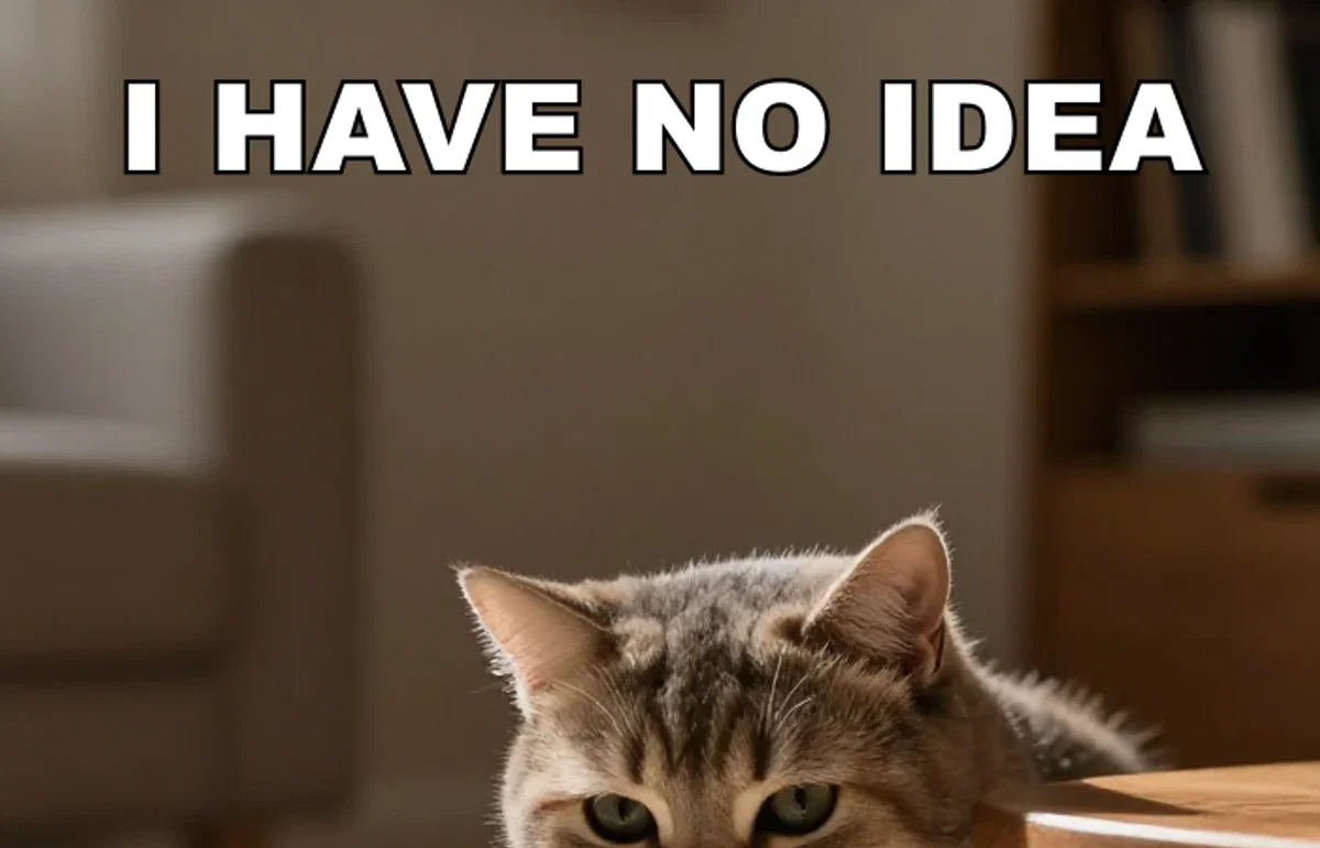 Close crop of the cat meme's top caption showing clean white lettering with black stroke, on FluxoKit