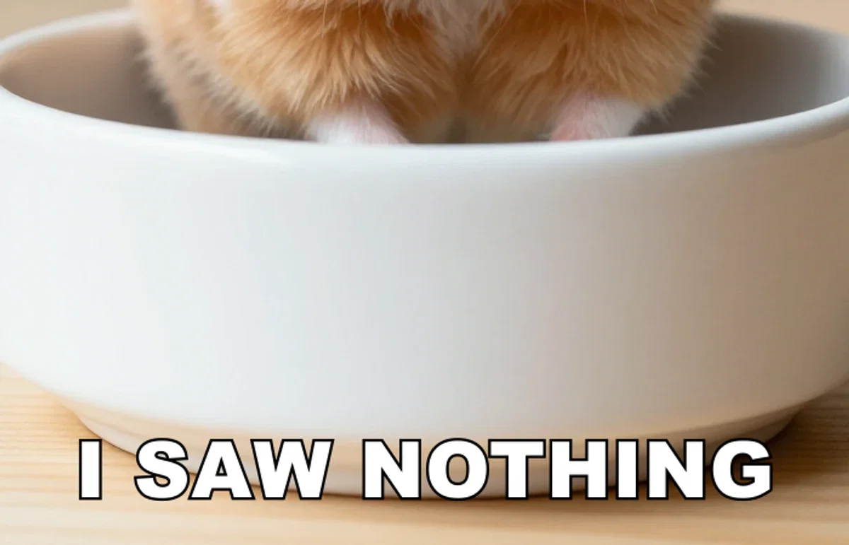 Close crop of the hamster meme's bottom caption over the empty bowl, on FluxoKit
