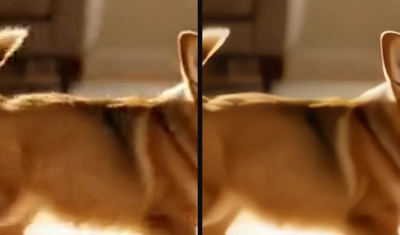 The same corgi frame cropped identically: blocky plain enlargement on the left, Topaz reconstruction with clean edges on the right, on FluxoKit