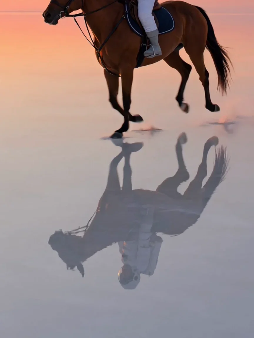 Rider and horse doubled in the salt-lake reflection, beat frame from a Grok Imagine take on FluxoKit