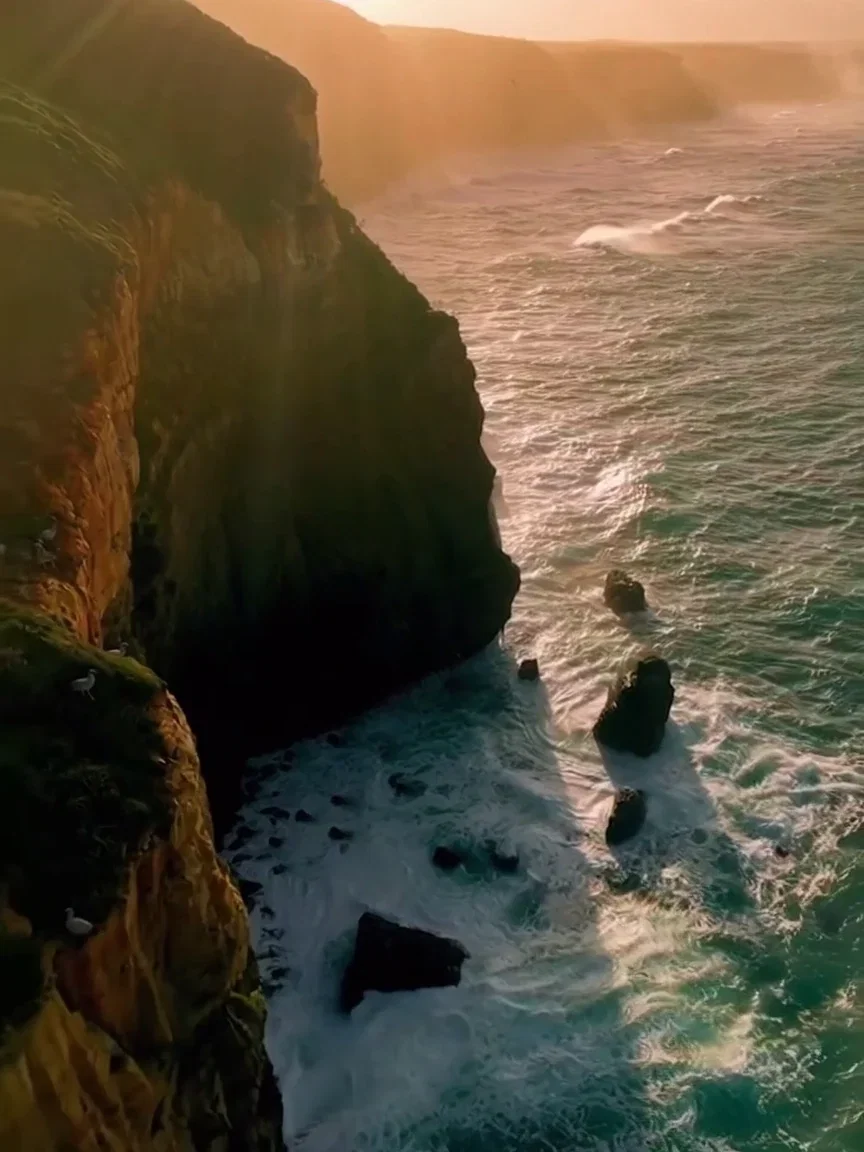 Seabirds crossing a golden cliff face, a beat frame from a Sora 2 Pro clip on FluxoKit
